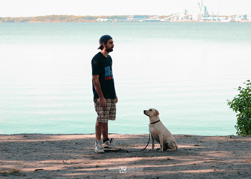 During Every Trip I Take A Picture Of My Husband And Our Labrador In The Same Position During Every Trip I Take A Picture Of My Husband And Our Labrador In The Same Position