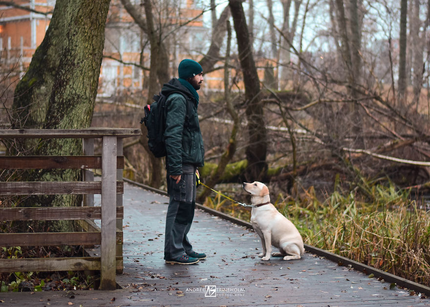 During Every Trip I Take A Picture Of My Husband And Our Labrador In The Same Position During Every Trip I Take A Picture Of My Husband And Our Labrador In The Same Position