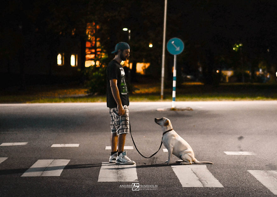 During Every Trip I Take A Picture Of My Husband And Our Labrador In The Same Position During Every Trip I Take A Picture Of My Husband And Our Labrador In The Same Position