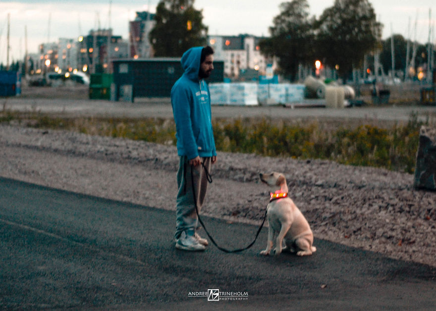 During Every Trip I Take A Picture Of My Husband And Our Labrador In The Same Position During Every Trip I Take A Picture Of My Husband And Our Labrador In The Same Position