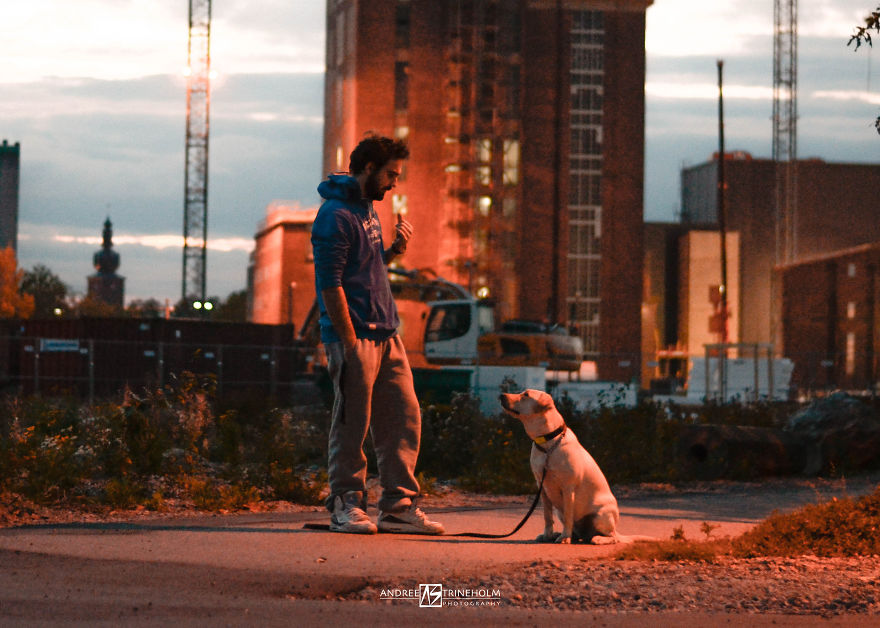 During Every Trip I Take A Picture Of My Husband And Our Labrador In The Same Position During Every Trip I Take A Picture Of My Husband And Our Labrador In The Same Position