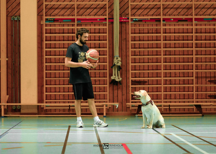 During Every Trip I Take A Picture Of My Husband And Our Labrador In The Same Position During Every Trip I Take A Picture Of My Husband And Our Labrador In The Same Position