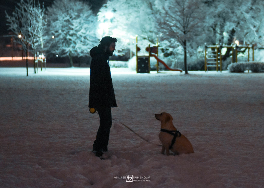During Every Trip I Take A Picture Of My Husband And Our Labrador In The Same Position During Every Trip I Take A Picture Of My Husband And Our Labrador In The Same Position