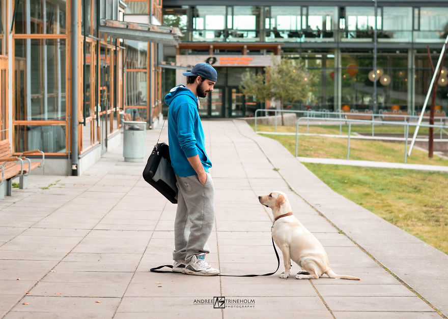 During Every Trip I Take A Picture Of My Husband And Our Labrador In The Same Position During Every Trip I Take A Picture Of My Husband And Our Labrador In The Same Position