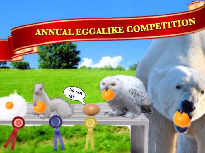 Suspicious Looking Egg Inspires A Ridiculous Photoshop Battle Suspicious Looking Egg Inspires A Ridiculous Photoshop Battle