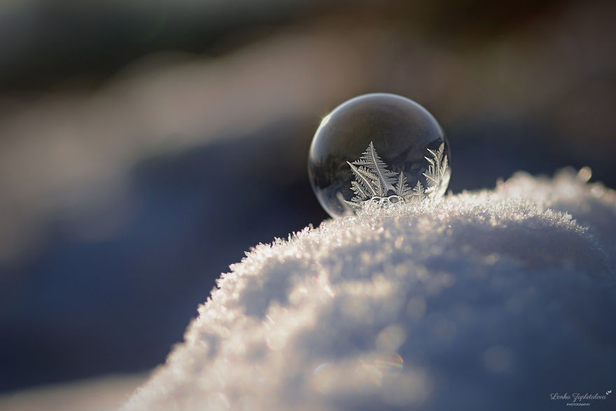 This Is What Happens To A Soap Bubble In Winter This Is What Happens To A Soap Bubble In Winter