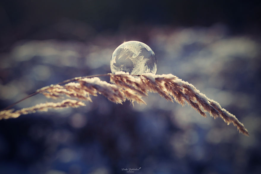This Is What Happens To A Soap Bubble In Winter This Is What Happens To A Soap Bubble In Winter