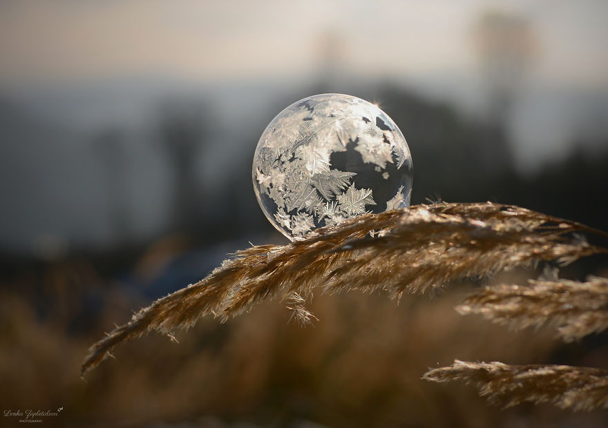 This Is What Happens To A Soap Bubble In Winter This Is What Happens To A Soap Bubble In Winter