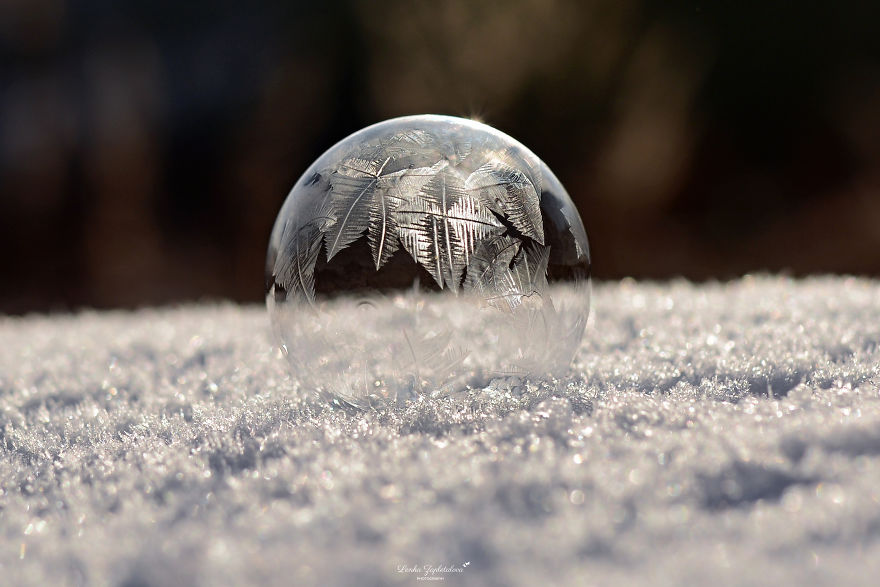 This Is What Happens To A Soap Bubble In Winter This Is What Happens To A Soap Bubble In Winter