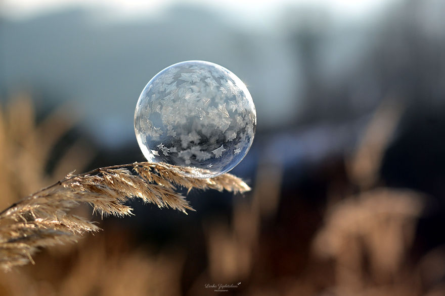 This Is What Happens To A Soap Bubble In Winter This Is What Happens To A Soap Bubble In Winter