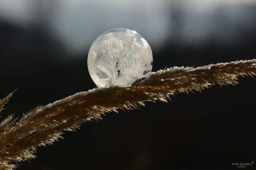 This Is What Happens To A Soap Bubble In Winter This Is What Happens To A Soap Bubble In Winter