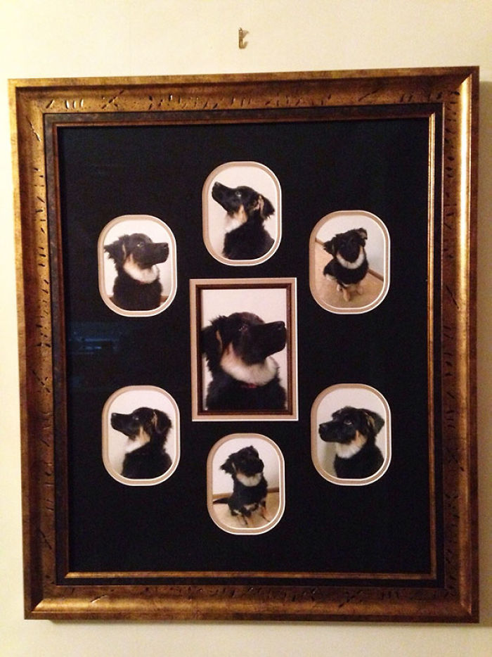 50 Parents Whose Sense Of Humor Is Better Than Their Kids 50 Parents Whose Sense Of Humor Is Better Than Their Kids