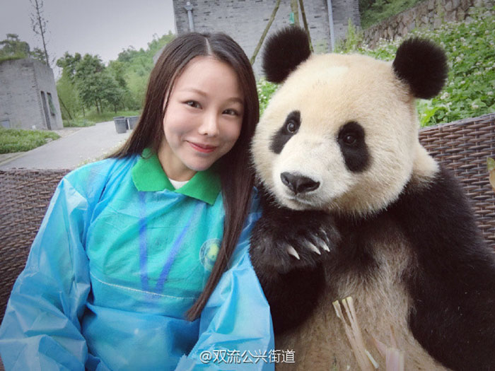 This Giant Panda Has Mastered The Selfie Game This Giant Panda Has Mastered The Selfie Game