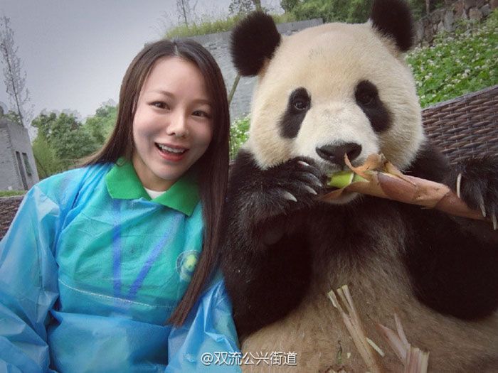 This Giant Panda Has Mastered The Selfie Game This Giant Panda Has Mastered The Selfie Game