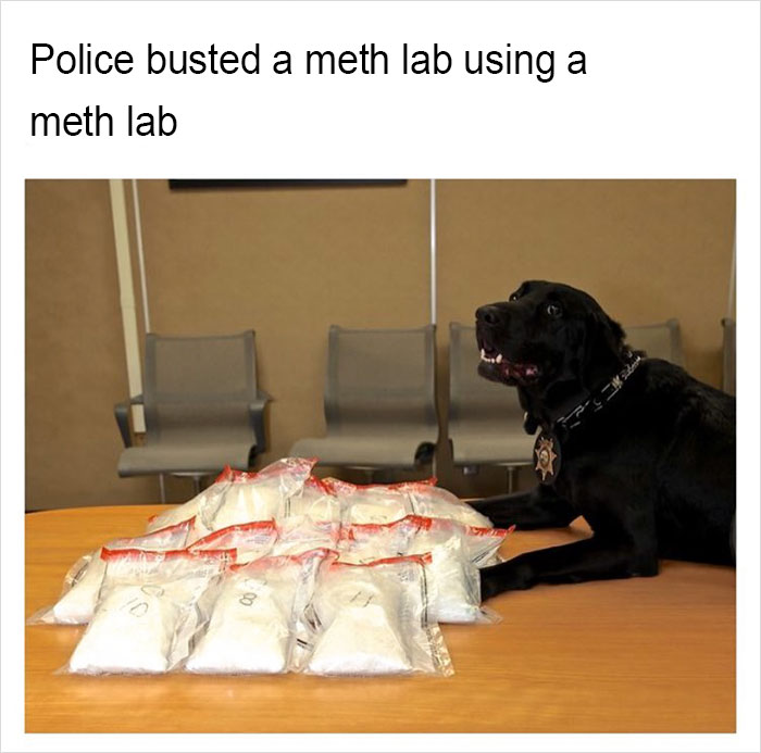 149 Funny Memes By Tank Sinatra 149 Funny Memes By Tank Sinatra