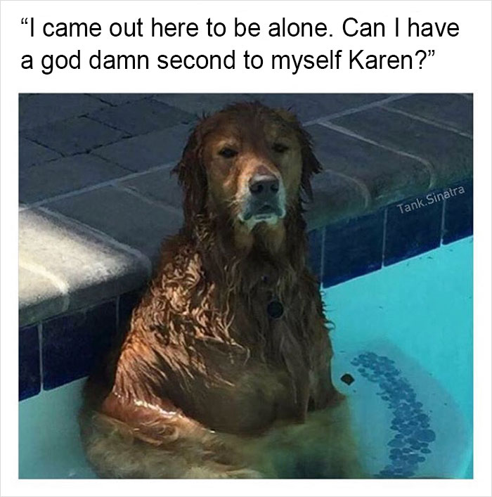 149 Funny Memes By Tank Sinatra 149 Funny Memes By Tank Sinatra