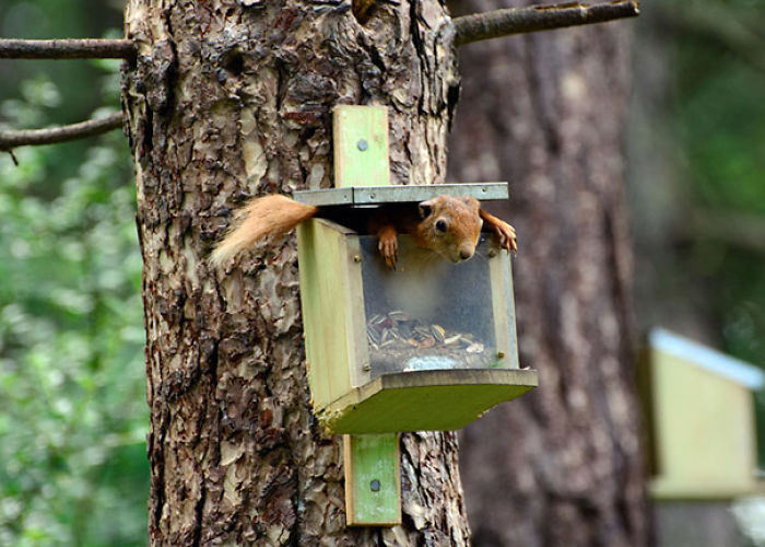 58 Of The Funniest Animal Fails Ever 58 Of The Funniest Animal Fails Ever