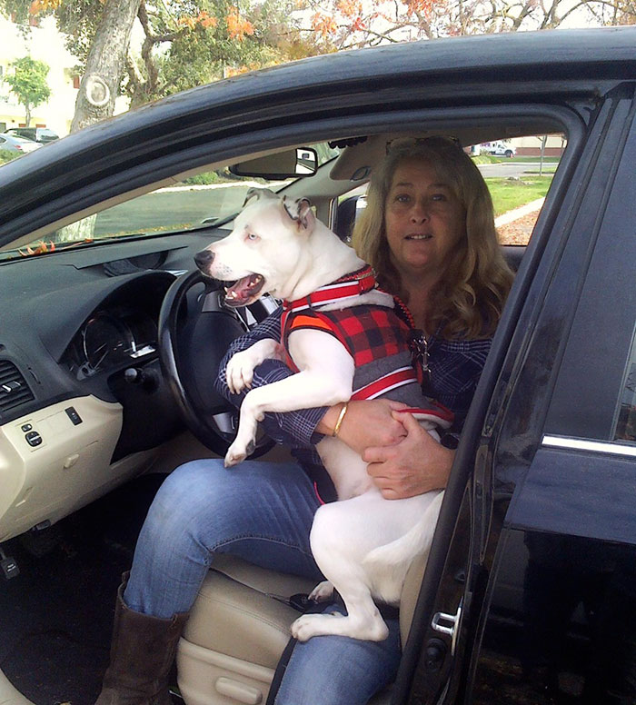 When This Woman Found A Dying Homeless Man With A Dog, He Told Her His Last Wish And It’s Heartbreaking When This Woman Found A Dying Homeless Man With A Dog, He Told Her His Last Wish And It’s Heartbreaking