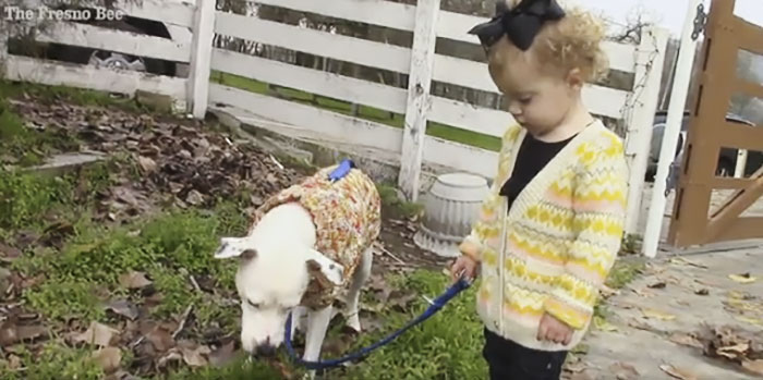 When This Woman Found A Dying Homeless Man With A Dog, He Told Her His Last Wish And It’s Heartbreaking When This Woman Found A Dying Homeless Man With A Dog, He Told Her His Last Wish And It’s Heartbreaking