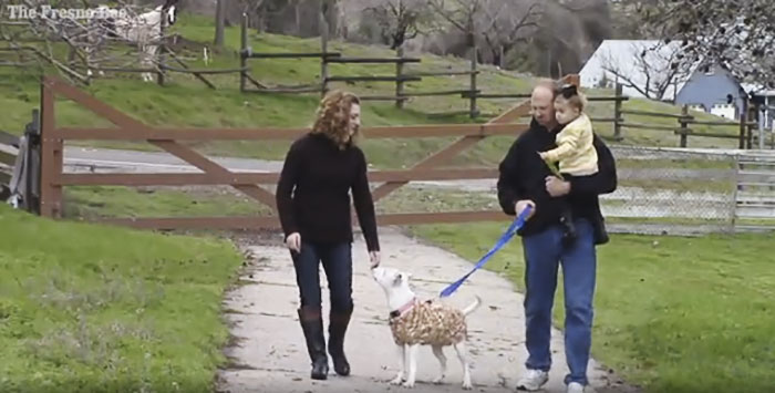 When This Woman Found A Dying Homeless Man With A Dog, He Told Her His Last Wish And It’s Heartbreaking When This Woman Found A Dying Homeless Man With A Dog, He Told Her His Last Wish And It’s Heartbreaking