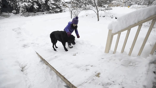 Mailman Builds A Ramp So His Old Dog Friend Could Still Greet Him When He Comes Mailman Builds A Ramp So His Old Dog Friend Could Still Greet Him When He Comes
