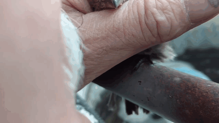 Man Rescues Frozen Bird With His Breath Man Rescues Frozen Bird With His Breath