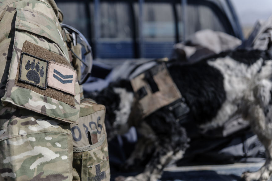 Six Years Ago Today I Had Landed In Afghanistan. I’ve Been Living There Ever Since Six Years Ago Today I Had Landed In Afghanistan. I’ve Been Living There Ever Since