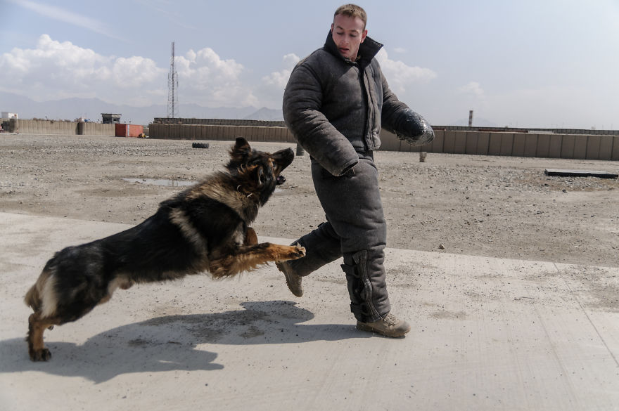 Six Years Ago Today I Had Landed In Afghanistan. I’ve Been Living There Ever Since Six Years Ago Today I Had Landed In Afghanistan. I’ve Been Living There Ever Since