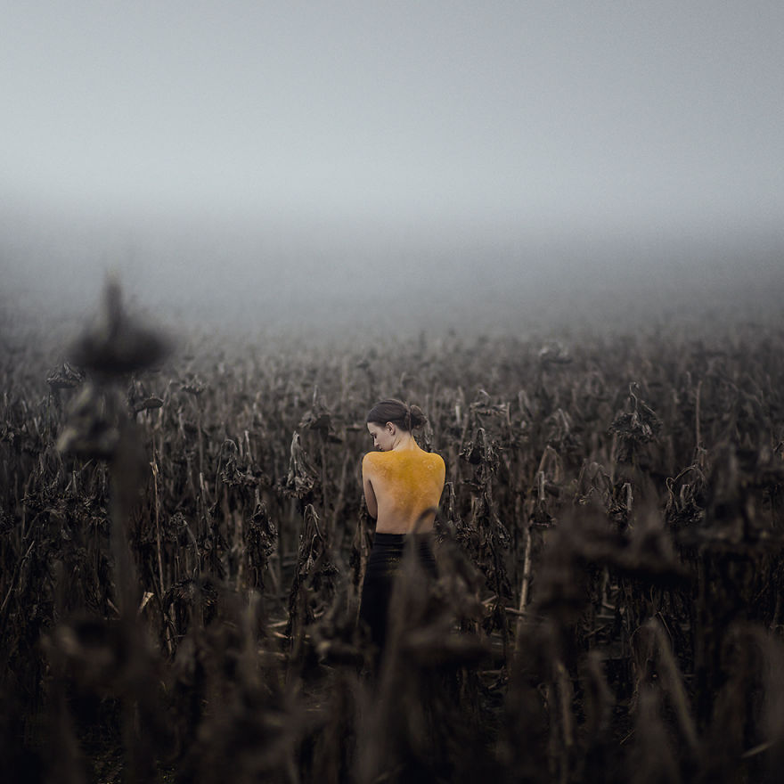 When I Stopped Using Photoshop Manipulation, I Found The Beauty Of Fine Art Photography When I Stopped Using Photoshop Manipulation, I Found The Beauty Of Fine Art Photography