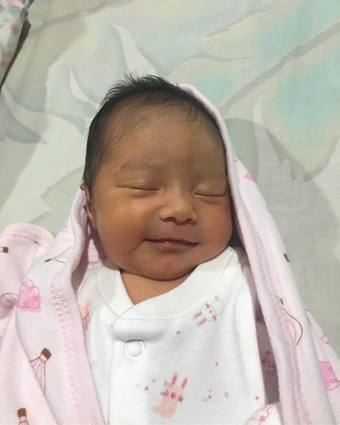 186 Baby Chinchillas That Will Melt Your Heart 186 Baby Chinchillas That Will Melt Your Heart