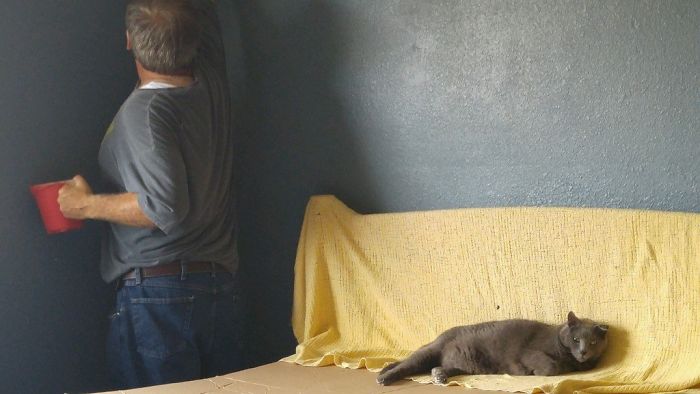 70 Accidental Renaissance Pics That Are Better Than Art History 70 Accidental Renaissance Pics That Are Better Than Art History