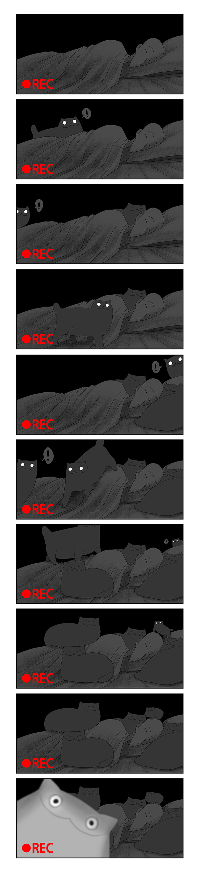 187 Hilarious Comics That Reveal The Reality Of Living With Cats