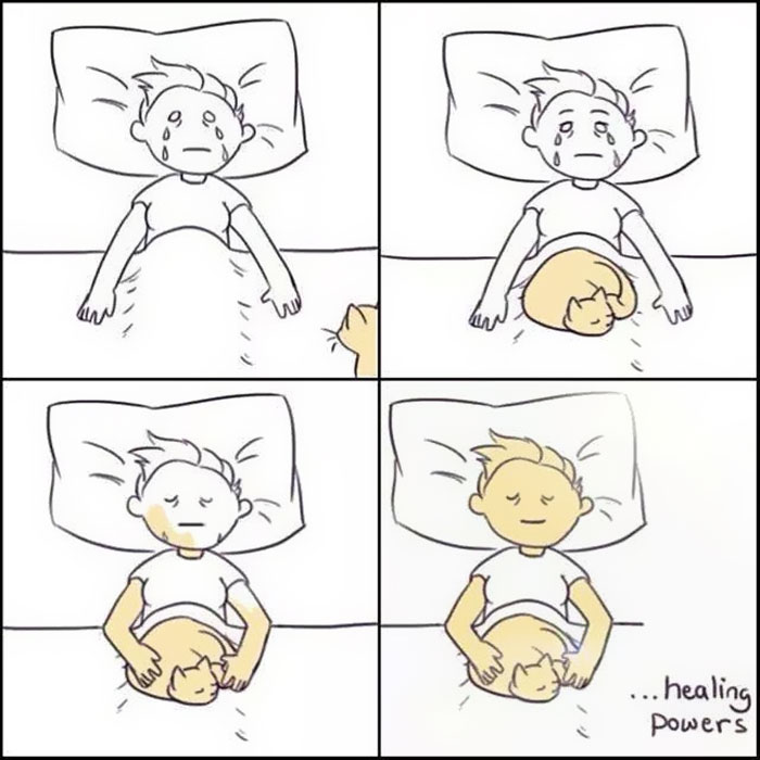 187 Hilarious Comics That Reveal The Reality Of Living With Cats