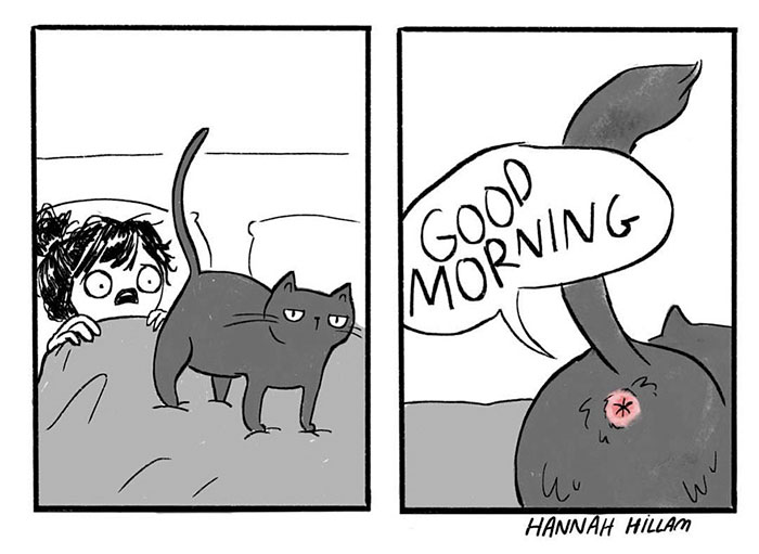 187 Hilarious Comics That Reveal The Reality Of Living With Cats