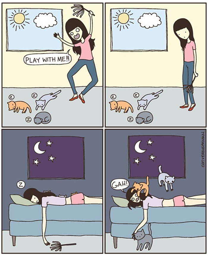 187 Hilarious Comics That Reveal The Reality Of Living With Cats