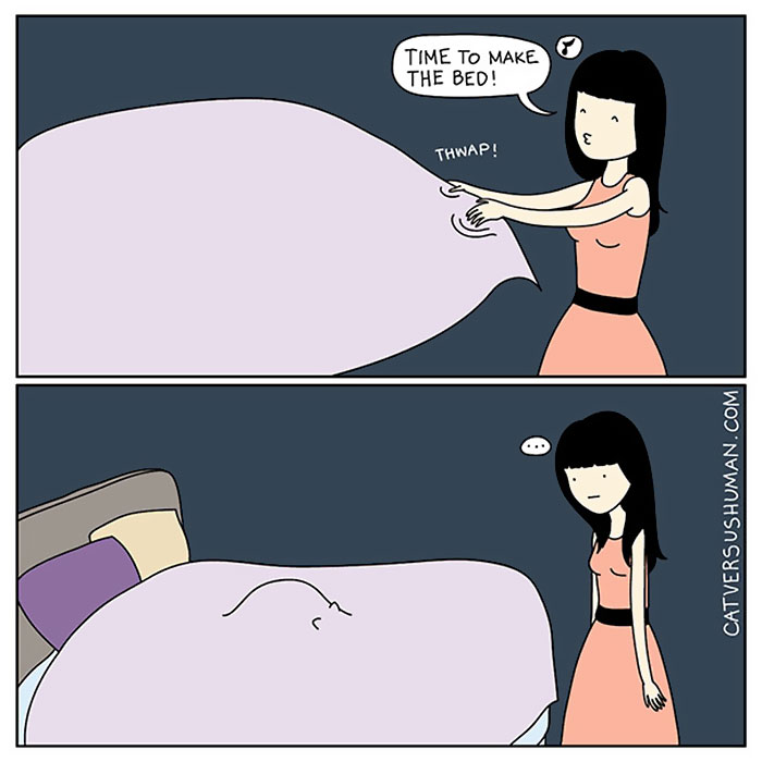 187 Hilarious Comics That Reveal The Reality Of Living With Cats