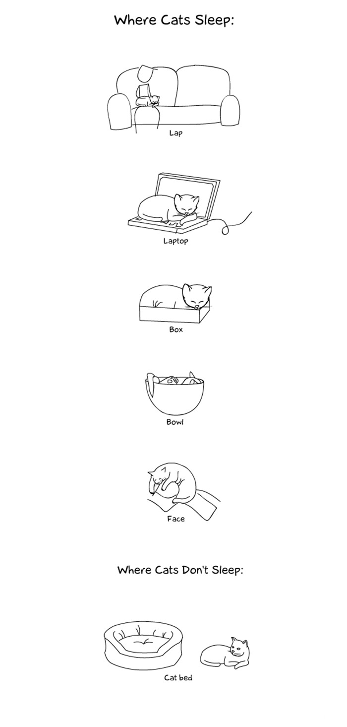 187 Hilarious Comics That Reveal The Reality Of Living With Cats