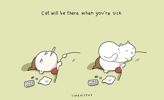 187 Hilarious Comics That Reveal The Reality Of Living With Cats
