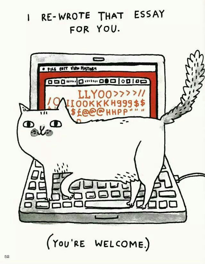 187 Hilarious Comics That Reveal The Reality Of Living With Cats