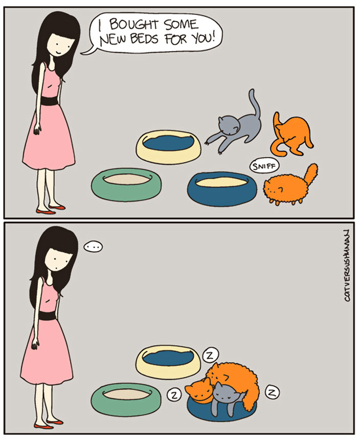 187 Hilarious Comics That Reveal The Reality Of Living With Cats