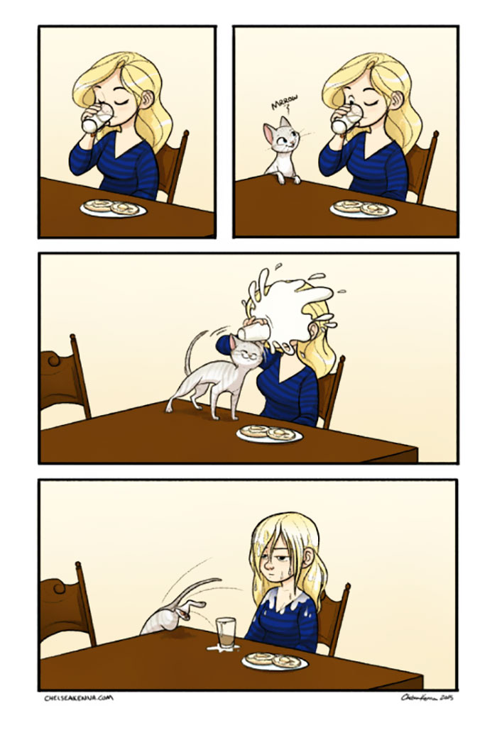 187 Hilarious Comics That Reveal The Reality Of Living With Cats