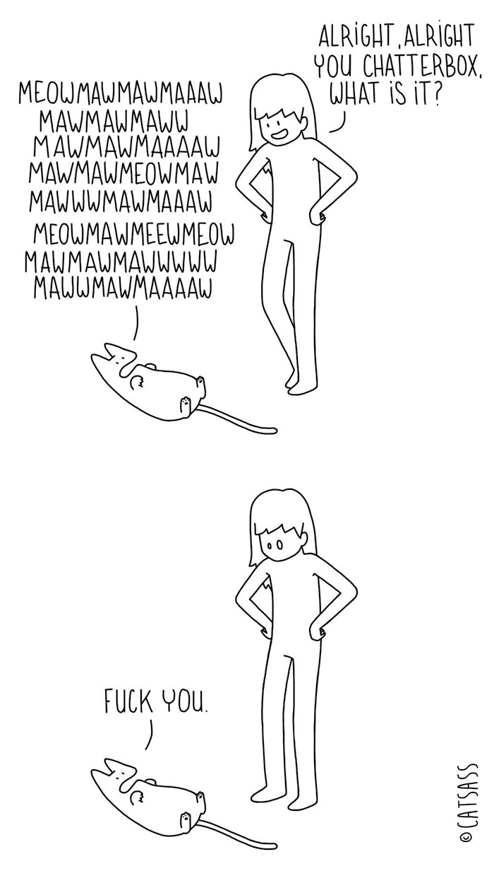 187 Hilarious Comics That Reveal The Reality Of Living With Cats