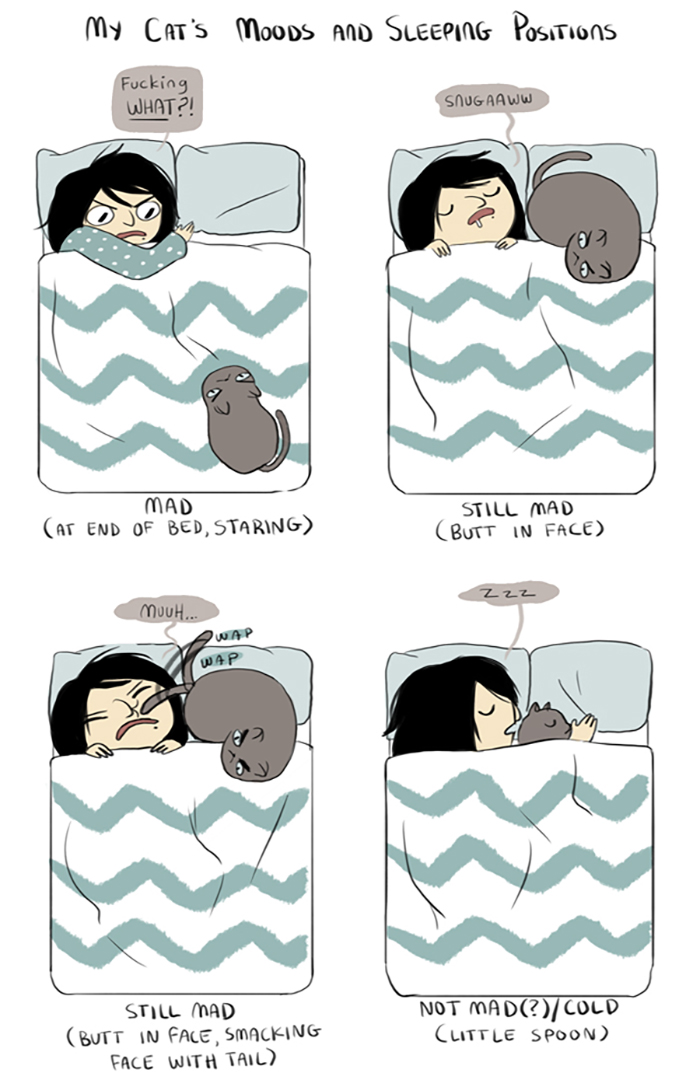 187 Hilarious Comics That Reveal The Reality Of Living With Cats