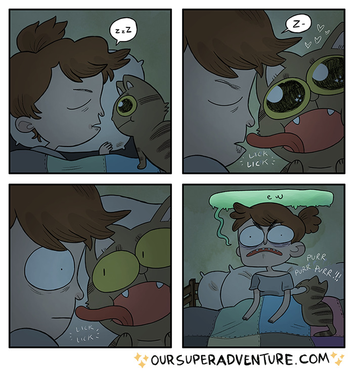 187 Hilarious Comics That Reveal The Reality Of Living With Cats