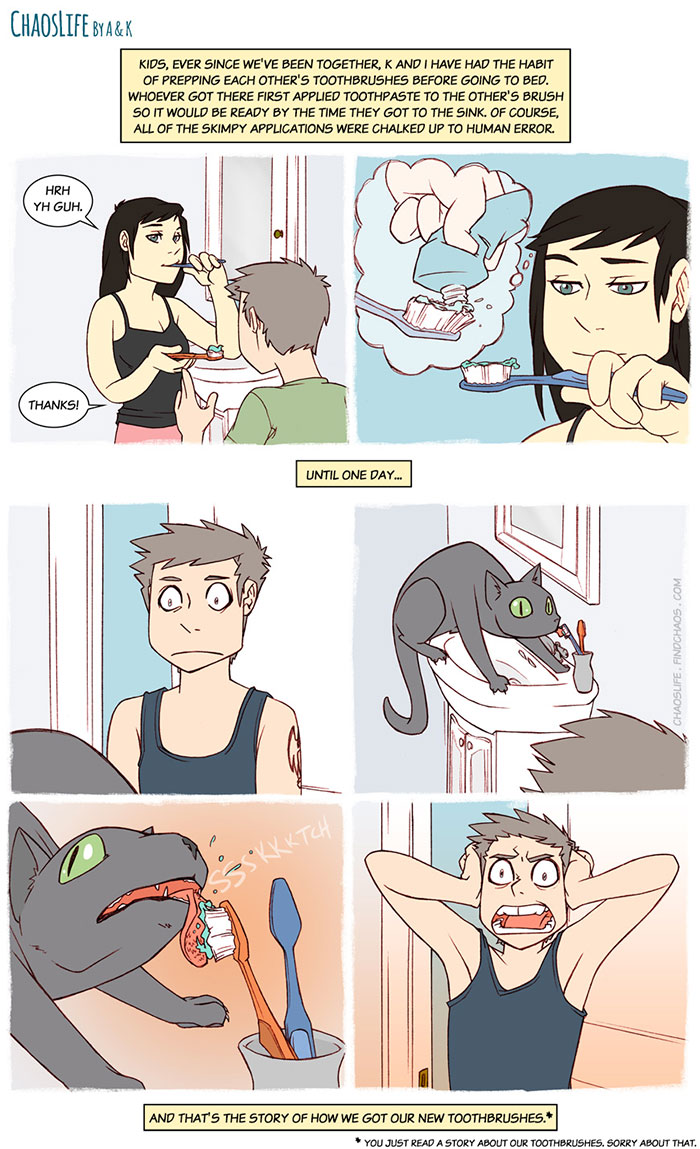 187 Hilarious Comics That Reveal The Reality Of Living With Cats