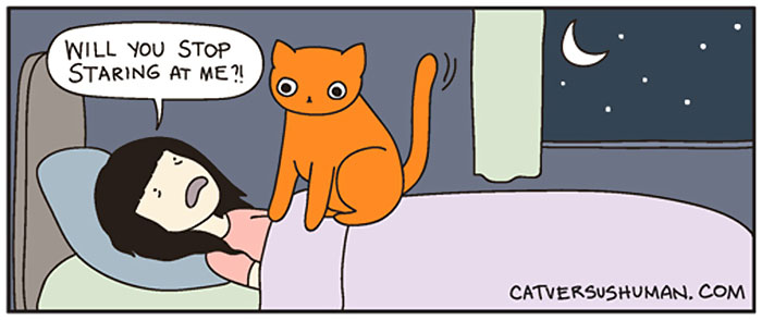 187 Hilarious Comics That Reveal The Reality Of Living With Cats