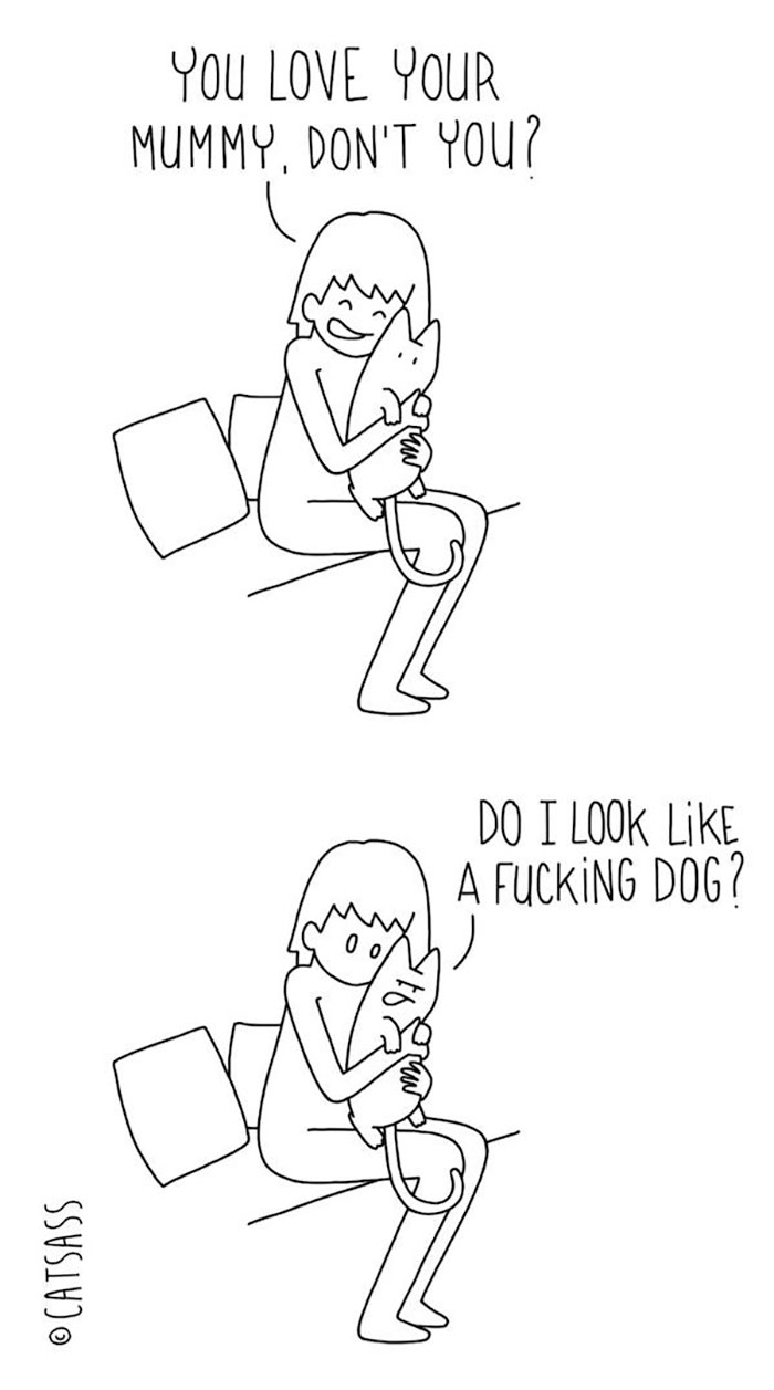 187 Hilarious Comics That Reveal The Reality Of Living With Cats