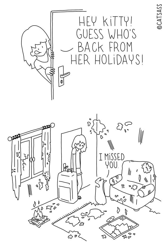 187 Hilarious Comics That Reveal The Reality Of Living With Cats