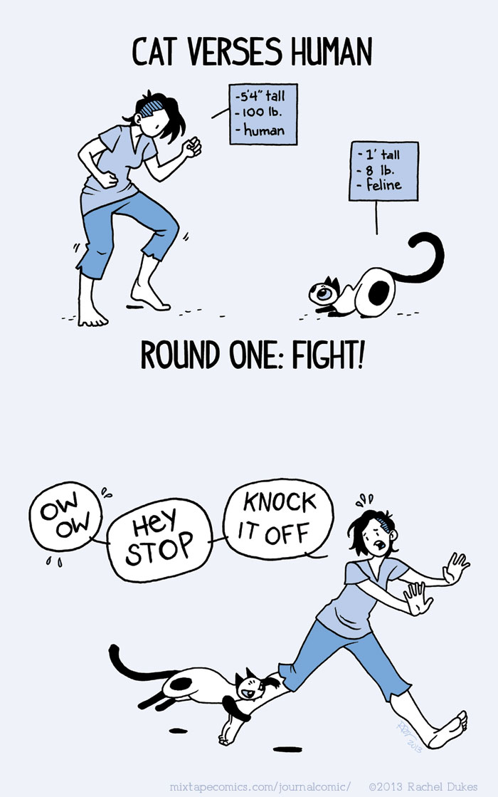 187 Hilarious Comics That Reveal The Reality Of Living With Cats