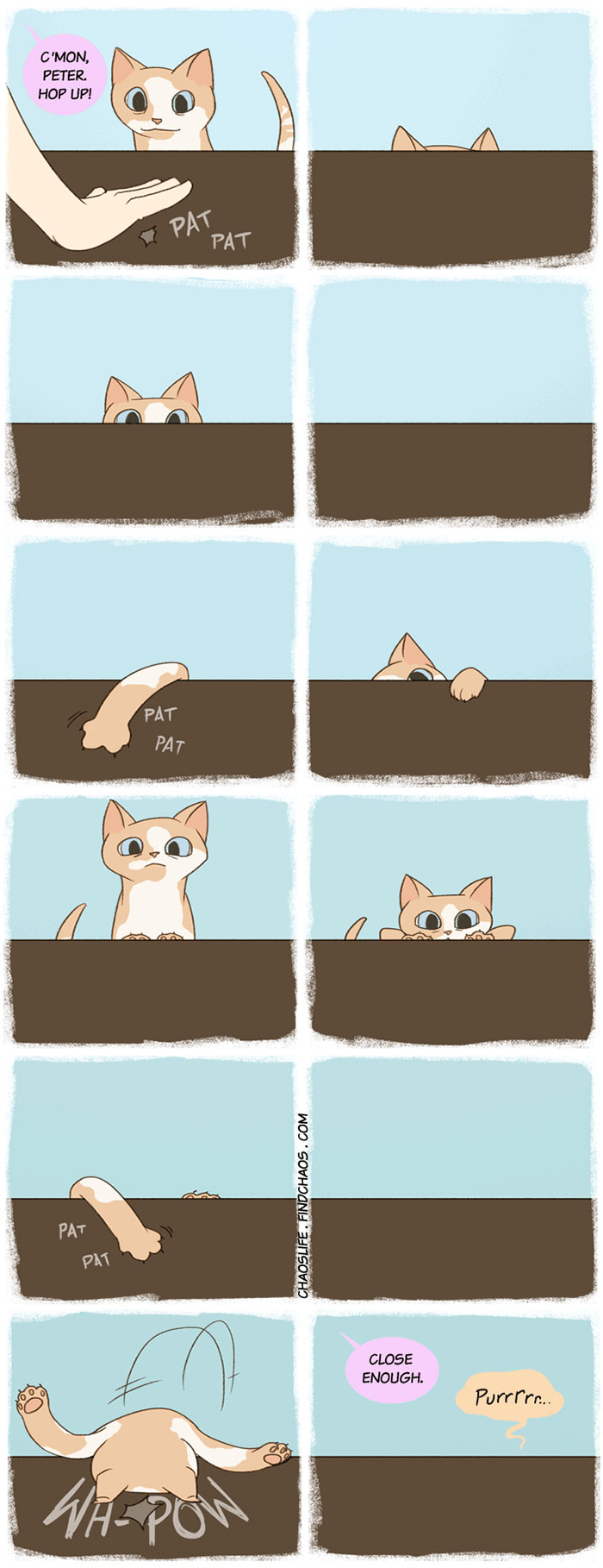 187 Hilarious Comics That Reveal The Reality Of Living With Cats